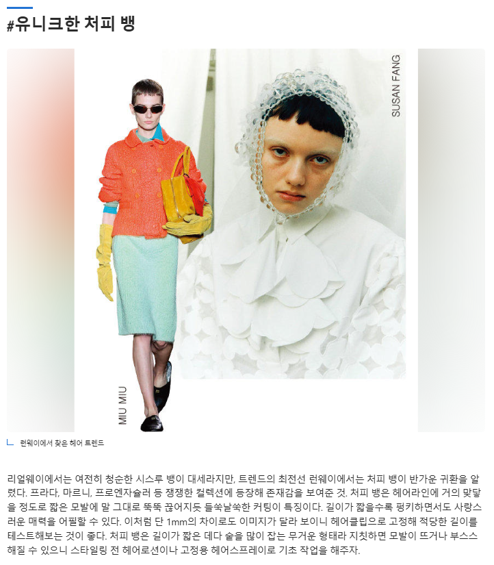 사용자 등록이미지